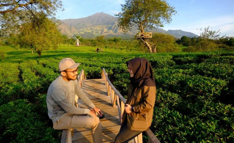 Wisata alam di tengah perkebunan teh di Malang Wajib coba