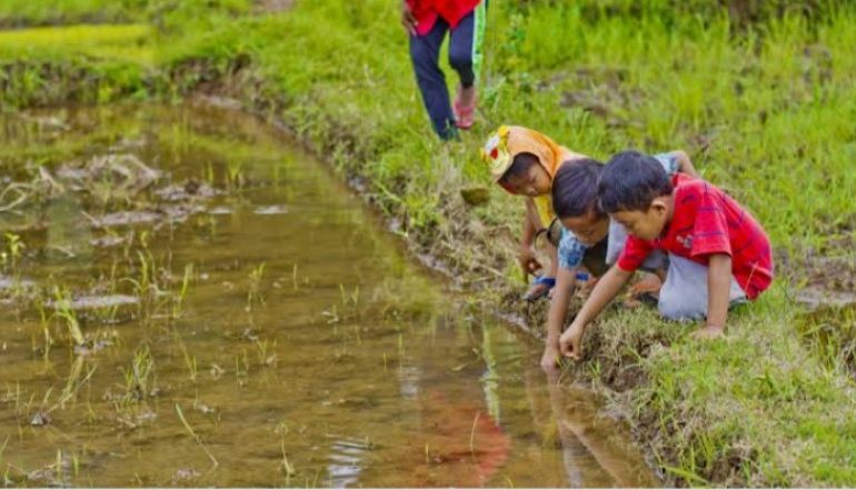 Serunya Hobi Memancing Belut di sawah