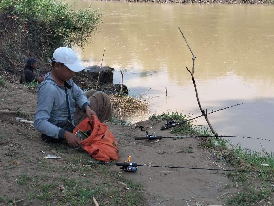 Mancing Ikan Nila di Bantaran Sungai Madiun