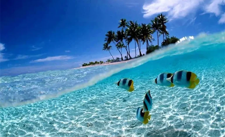 Liburan Manado Rekomendasi Pantai, Pulau, dan Spot Snorkeling