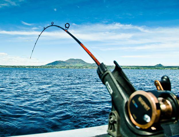 Rahasia Sukses Mancing di Danau Favorit Para Angler