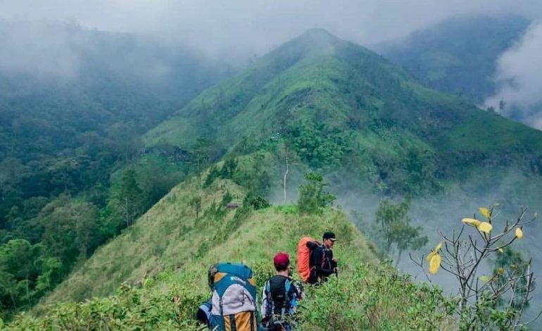 Wisata Alam Jombang yang Cocok untuk Pecinta Petualangan