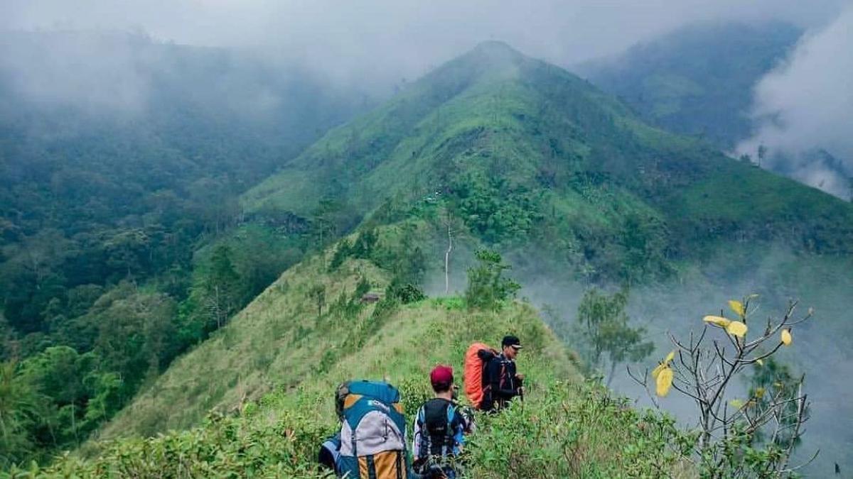 Wisata Alam Jombang yang Cocok untuk Pecinta Petualangan