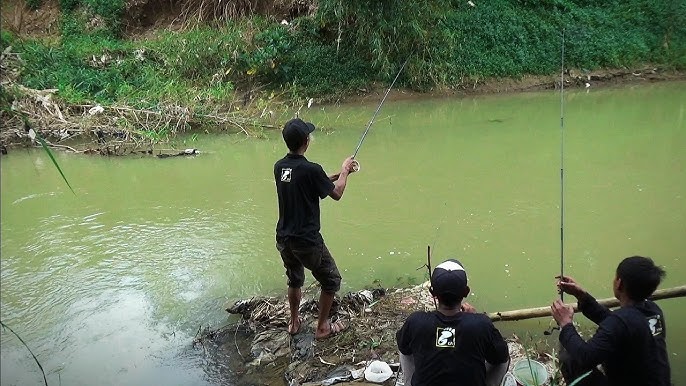 Mancing Paling Seru Bareng Teman, Strike Bertubi-tubi